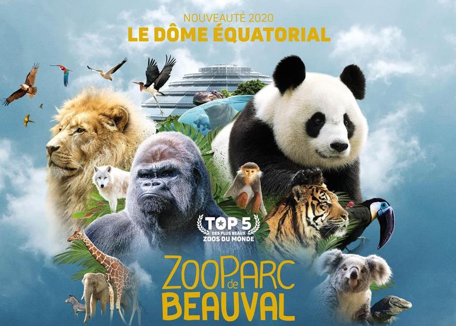 Zoo de Beauval à Saint-Aignan